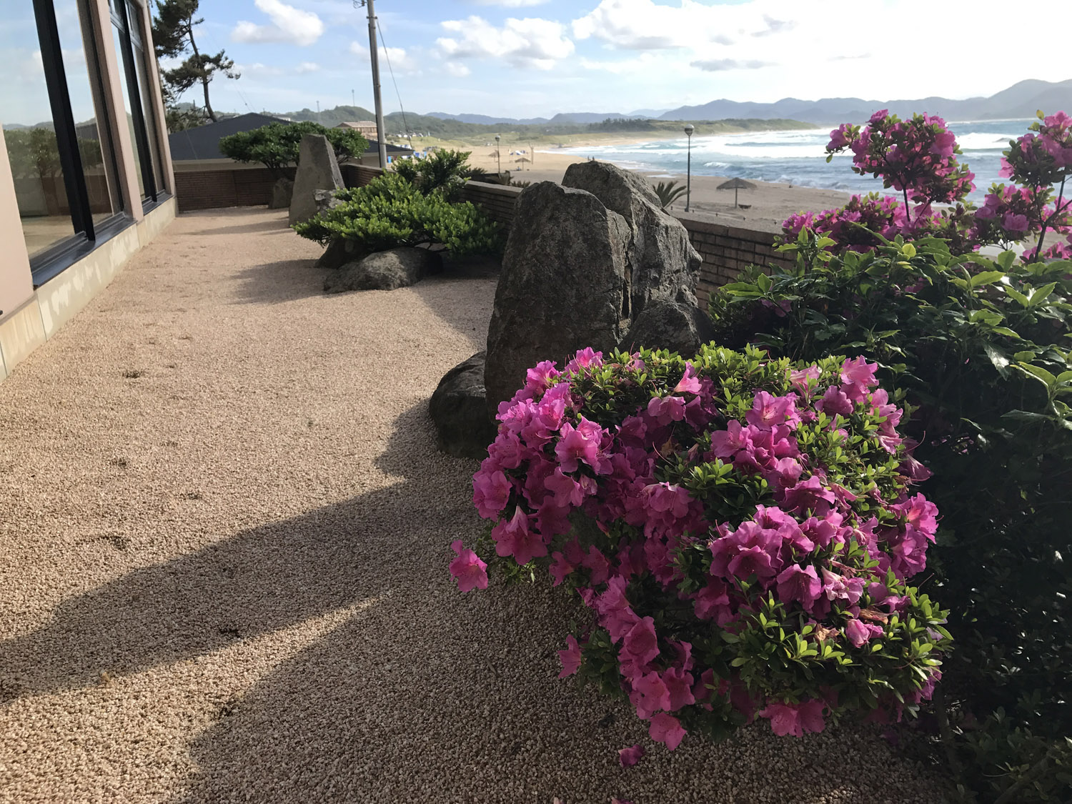 広間から見える庭と海岸